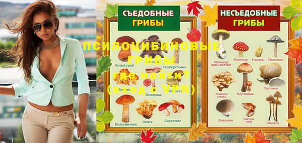не бодяженный Алексин